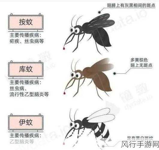 蚊子叮人真有血型偏好？揭秘蚊子的选择之谜