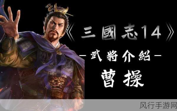 三国志14武将深度剖析，技能与属性背后的财经价值