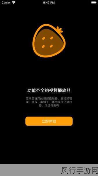 草莓视频下载污ios：全面解析草莓视频下载污iOS版的安装及使用技巧