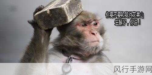 打牌生猴子的视频大全软件免费下载：免费下载全面拓展打牌生猴子视频合集的软件推荐