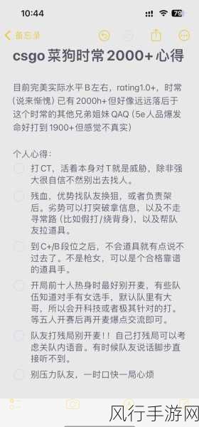 csgo暴躁姐姐的精彩瞬间丁香五月成人电影：CSGO暴躁姐姐的精彩瞬间与幽默挑战合集