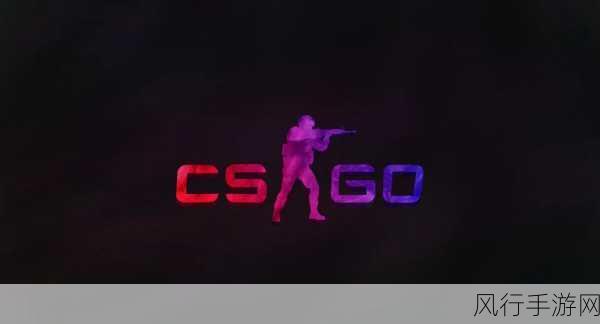 csgo一个人在家寂寞图片：在家独自玩CS：GO，享受孤独与挑战的乐趣