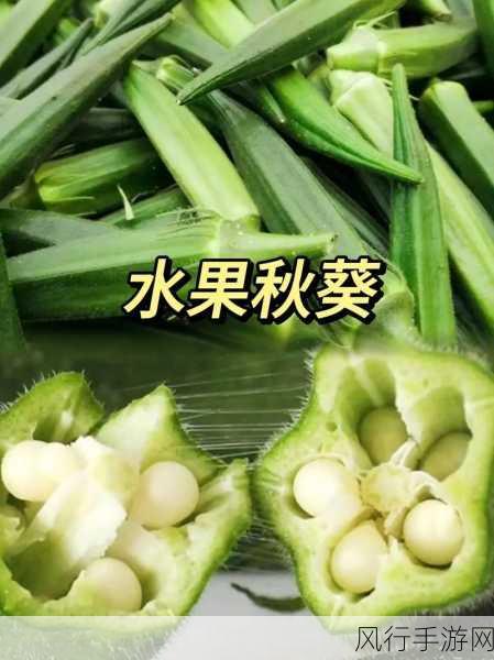 丝瓜秋葵草莓香蕉榴莲绿大全：多彩水果与营养蔬菜的完美搭配大全