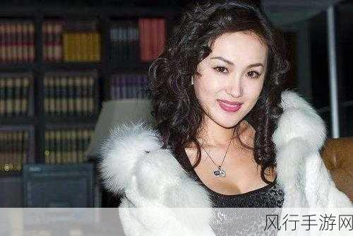 CHINESE性老女人老熟女：探索成熟女性的魅力与智慧：老熟女的人生故事与经验分享