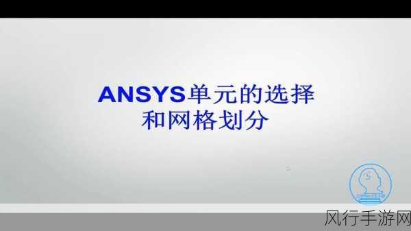 ansys有中文版本吗：Ansys软件是否提供中文版本及其相关信息探讨