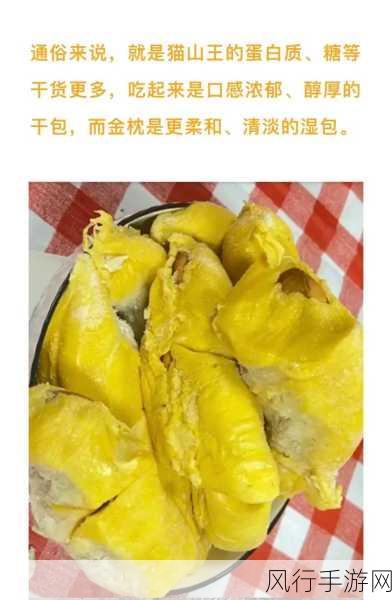 日产乱码榴莲：探索日产乱码榴莲的奇妙世界与独特风味体验