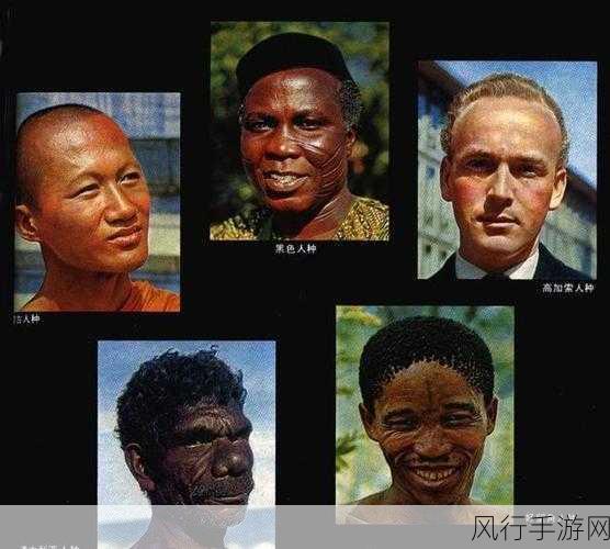 荒蛮人种1985意大利：荒蛮人种：1985年意大利的文化冲击与反思