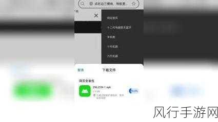 最污软件视频：揭秘最污软件：让你无法自拔的隐秘视频世界