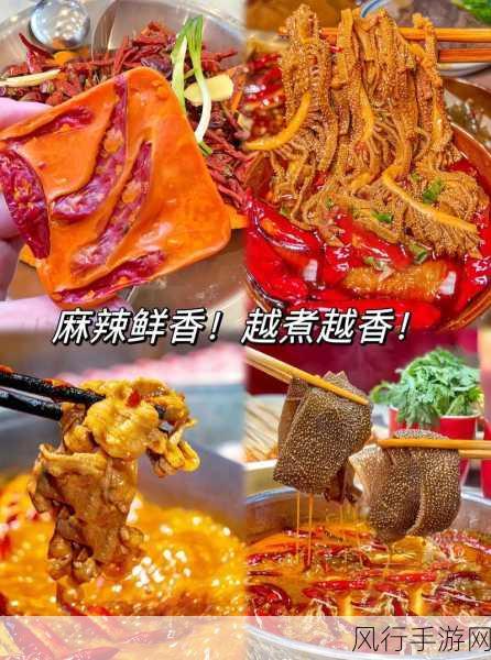 大香煮2023一人一煮：2023年独享美味：一人一煮的大香煮新体验