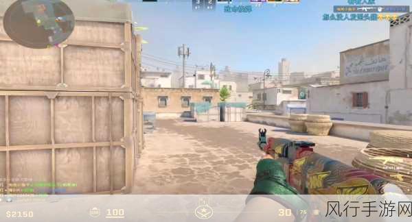 暴躁老阿姨csgo最新版本：暴躁老阿姨CSGO：全新版本挑战极限战斗体验