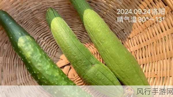 香蕉草莓茄子丝瓜秋葵：多彩健康食材：香蕉、草莓、茄子与丝瓜秋葵的美味组合