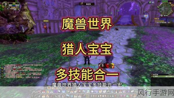 魔兽世界 TBC 猎人练级宝宝之选