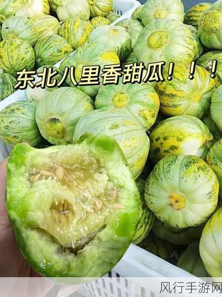 51今日大瓜 热门大瓜下载：今日热门大瓜合集：精彩新闻一网打尽，快来下载！