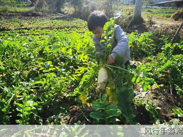 二人世界拔萝卜生猴子看全集：两人世界的奇妙冒险：拔萝卜与生猴子的欢乐时光