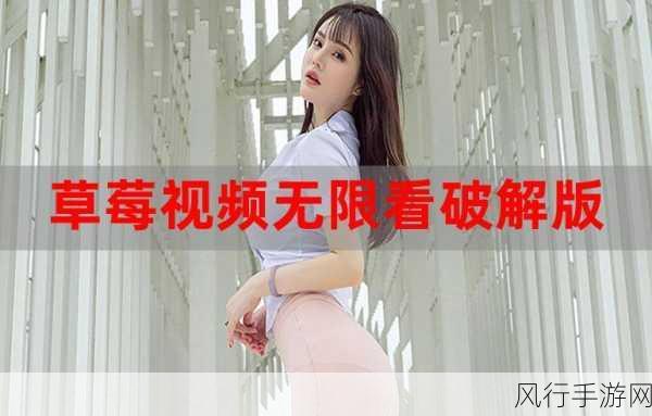 下载草莓视频：全方位解析草莓视频下载的方法与技巧，轻松获取精彩内容