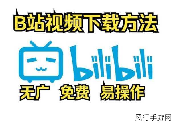 夜里18款b站下载：夜间必备：18款高效B站视频下载工具推荐与使用指南