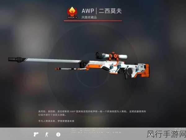 日本csgo大姐姐awp价格表：全面解析日本CSGO大姐姐AWP价格走势与市场价值