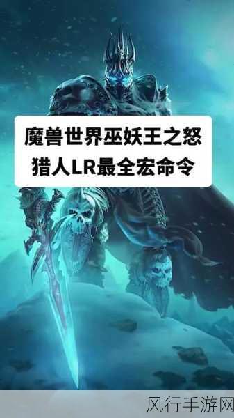 巫妖王之怒惩戒一键宏：巫妖王之怒：全面提升惩戒骑士一键宏技巧与策略