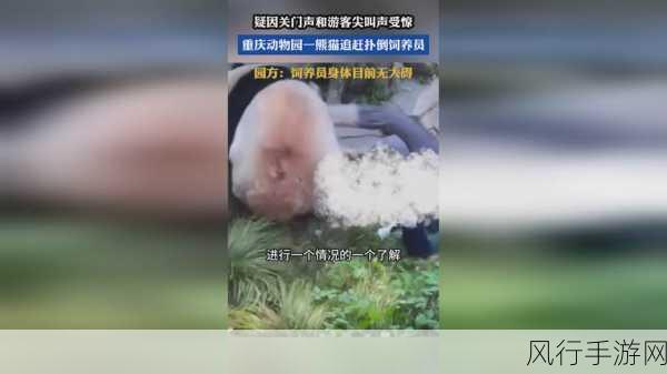 我爱搞-52G.APP:“探索无尽乐趣,尽在我爱搞-52G.APP全新体验!”