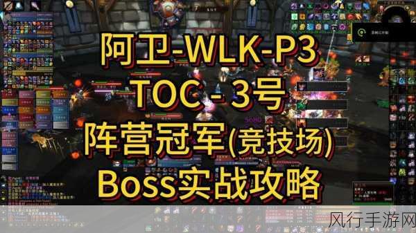 魔兽世界 TOC3 号 BOSS 阵营冠军通关秘籍