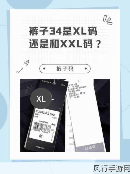 欧码的xl是亚洲码：欧码XL对应亚洲尺码解析：如何选择适合你的服装