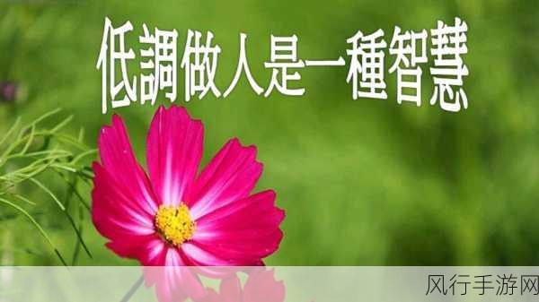 静观其变是什么生肖：静观其变，生肖智慧的深刻启示与人生哲学