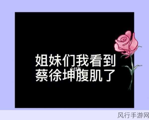 男生坤坤放进女生坤坤：男生坤坤与女生坤坤的奇妙故事大揭秘