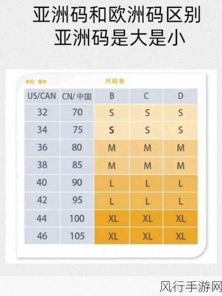 欧洲尺码日本尺码专线被解密：深入解析欧洲尺码与日本尺码的转换关系与应用