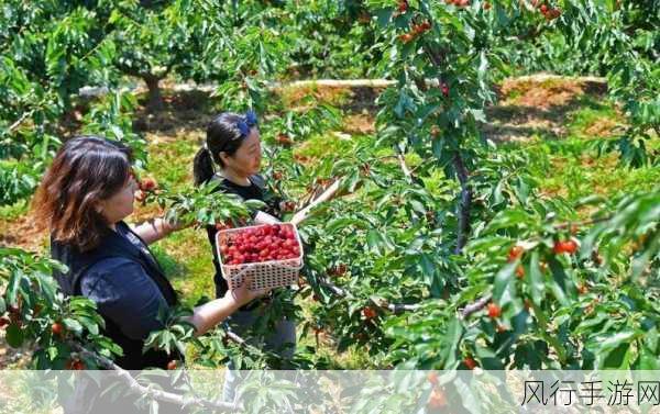 樱桃娱乐：探索樱桃娱乐的无限可能，畅享欢愉与激情之旅！