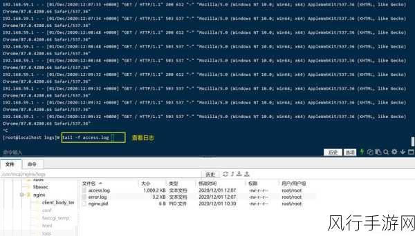 by网站进入192.168.在线观看：如何通过拓展by网站顺利访问192.168.网络地址的方法详解