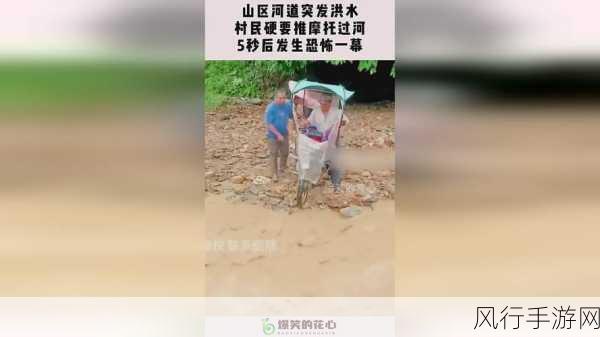 51大豆行情网仙踪林老狼：“探索51大豆行情网：仙踪林老狼带你深入市场分析”