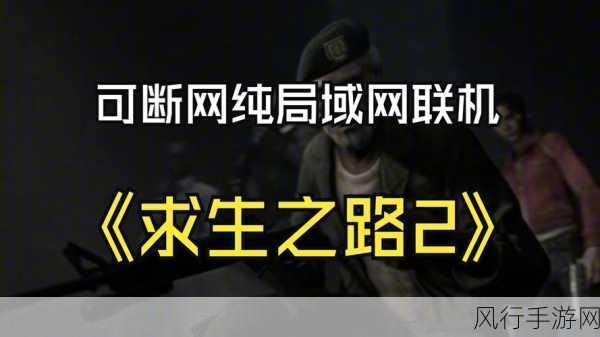 求生之路网吧局域网联机方法：拓展《求生之路》网吧局域网联机的详细攻略与技巧分享