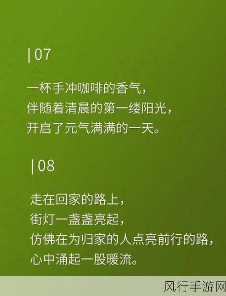 一只手刚好能握住：一只手刚好能握住的温暖与力量：生活中的小确幸