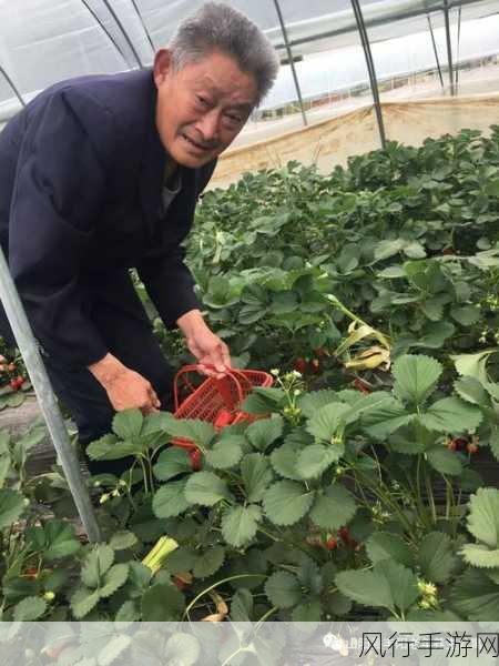 草莓视频黄片：探索草莓视频的精彩与魅力，带你享受全新体验！