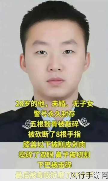 缉毒警睾丸：缉毒警的抗争与奉献：勇敢捍卫社会安宁之路