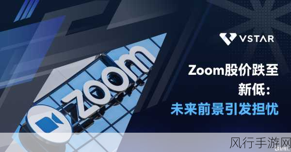 美国Zoom兽王：美国Zoom兽王：探索虚拟会议的创新与挑战之旅