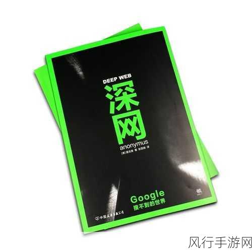 51暗网：揭秘51暗网：探索网络深处的隐秘世界与风险挑战