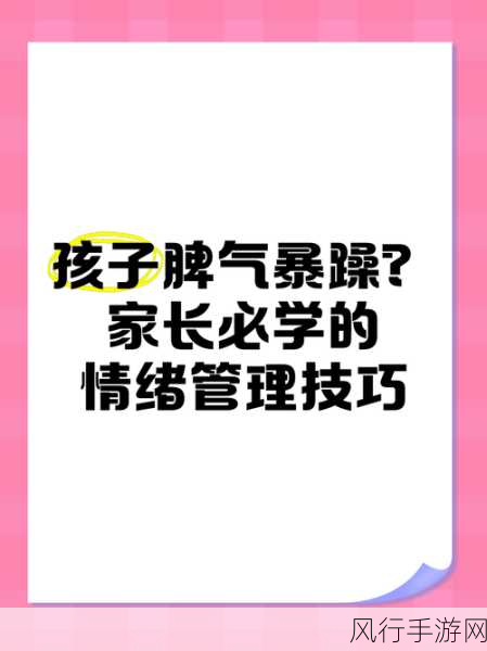 暴躁哥暴躁姐：从暴躁哥到冷静姐：情绪管理与成长之路