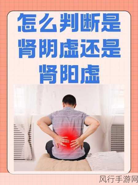 肾虚十八连黑料不打烊：深入解析肾虚的十八个典型症状与对策