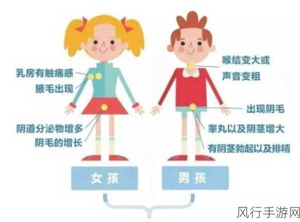 小女孩咬男生睾丸：小女孩意外咬伤男生睾丸，闹剧引发一场风波