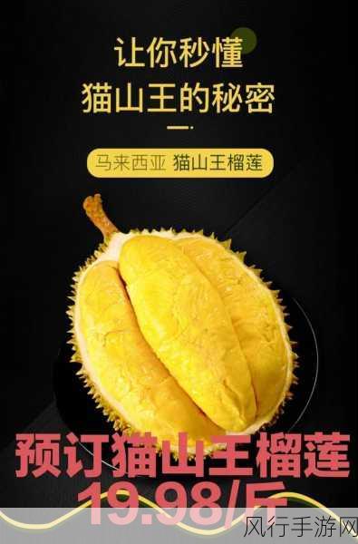 榴莲视频汇聚APP：榴莲视频汇聚平台：尽享全球美食与文化的盛宴