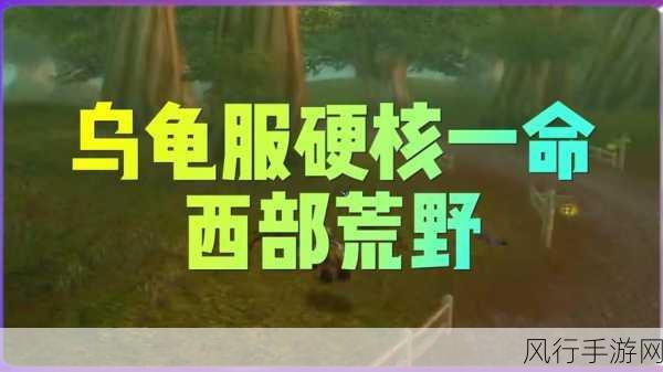 龙骨荒野那里学寒冷飞行：探秘拓展龙骨荒野，学习寒冷飞行技巧与知识