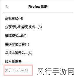 chrome实时显示fps和延迟：提升Chrome浏览器体验：实时监测FPS与延迟的实用方法