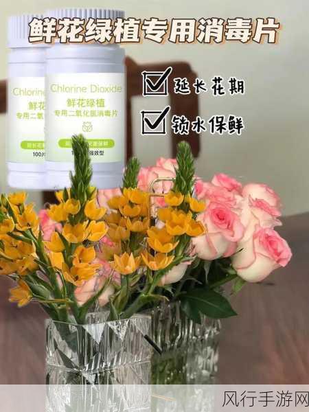 鲜花与可乐的奇妙组合，能否延长花期之谜