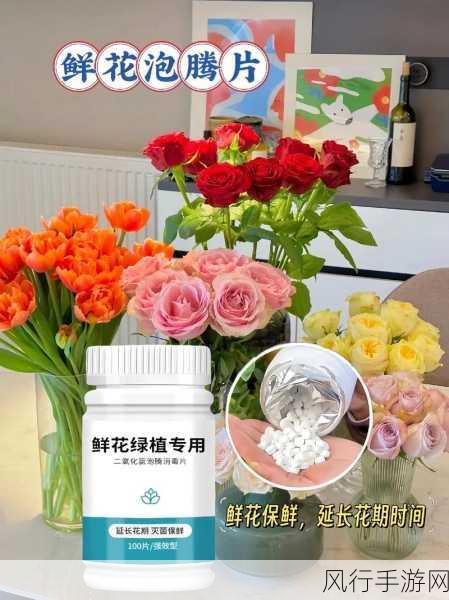 鲜花与可乐的奇妙组合，能否延长花期之谜