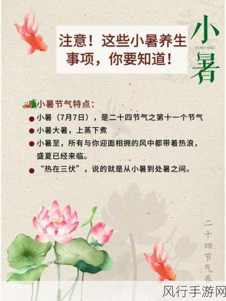 小森生活小暑节气，清凉料理厨房掀起夏日经济热潮