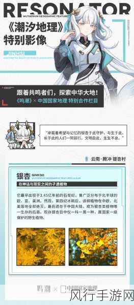 鸣潮潮汐觅闻活动深度解析，内容、奖励与财经影响