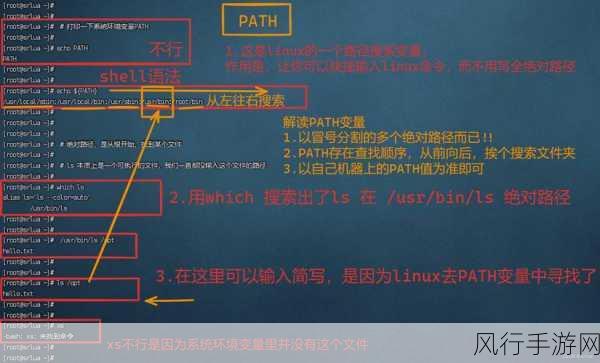 掌握 Linux 数据库命令，开启高效数据管理之旅