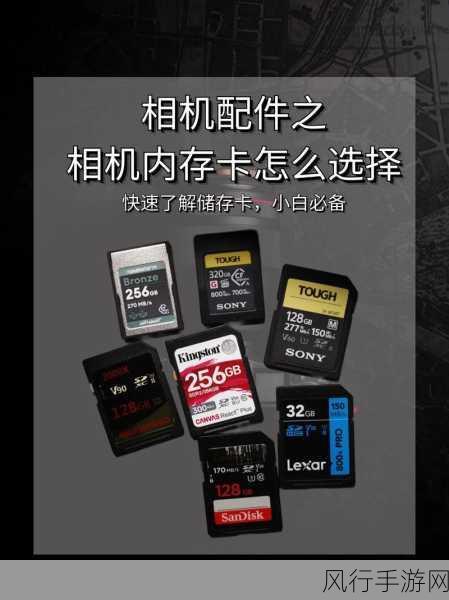 解决品胜 SD 卡出错及恢复数据的实用指南