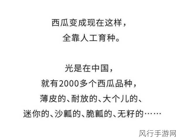 51吃瓜网为啥有广告：探讨51吃瓜网广告的成因与影响深度分析